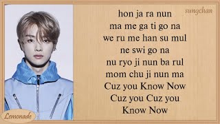 NCT U  Know Now Easy Lyrics [upl. by Eiznekcam]