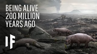 What If You Were Alive 200 Million Years Ago [upl. by Bierman]