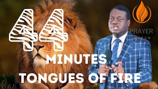 44 MINUTES TONGUES OF FIRE BY APOSTLE AROME OSAYI [upl. by Atolrac]