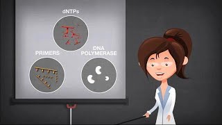 Basics of PCR [upl. by Hnacogn]