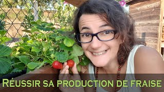 Comment réussir la culture de FRAISE au potager [upl. by Blasien798]