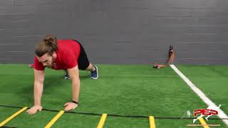 Agility Ladder Upper and Lower Body Circuit Training  Speed Performance [upl. by Huskey]