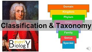 Classification and Taxonomy [upl. by Yknarf]