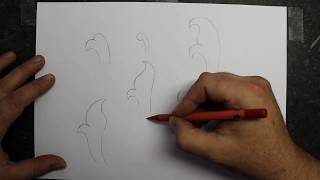 How to draw scroll designs The basics [upl. by Kathy]