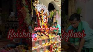 Krishnanagar Jagadhatri Pujo রাজবাড়ির জগদ্ধাত্রীপুজো shorts [upl. by Boyden]