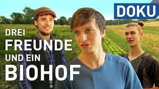 Drei Freunde und ein Biohof  erlebnis Hessen  Doku [upl. by Ettelrac]