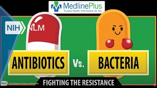 Antibiotics vs Bacteria Fighting the Resistance [upl. by Sutherlan205]