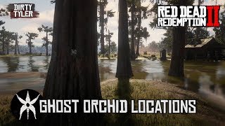 All Ghost Orchid Locations in Red Dead Redemption 2  RDR2 [upl. by Siugram]