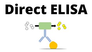 Direct ELISA in 1 minute [upl. by Eijneb450]