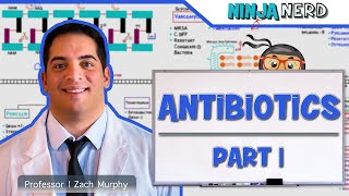 Antibiotics Cell Wall Synthesis Inhibitors Part 1 [upl. by Borchers162]