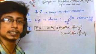 Antigen antibody reaction overview [upl. by Ydal853]