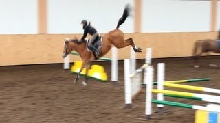 Springreiten  Trainingsvideo [upl. by Eittak]