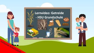 Lernvideo Getreide 🌾 HSU Grundschule [upl. by Sinnod]