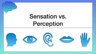 What’s the Difference between Sensation and Perception [upl. by Meriel]