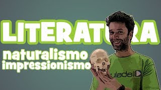 Literatura  Aula 9 Naturalismo  Impressionismo [upl. by Yekim291]