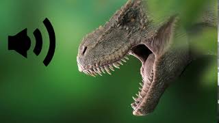 Tyrannosaurus vs Triceratops Torosaurus Styracosaurus Pentaceratops amp Chasmosaurus 1080p 60FPS [upl. by Niwdla]