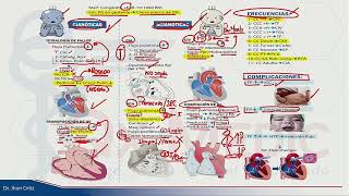 Cardiopatias Congênitas  PEDIATRIA  35365 [upl. by Eanehs]