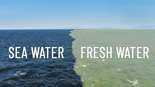 Fresh Water Meets Sea Water – Boundary Explained [upl. by Ateikan]