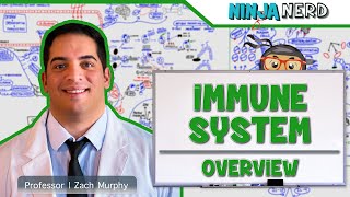 Immunology  Immune System Overview [upl. by Tenn]