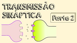 Aula 03b  Transmissão Sináptica Parte 2 [upl. by Ardnaet]