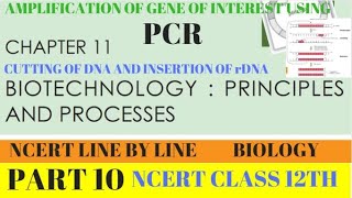 PART10 PCRPOLYMERASE CHAIN REACTIONBIOTECHNOLOGYCLASS 12TH BIOLOGY CHAPTER 11 NCERT [upl. by Batchelor750]