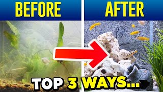 Crystal Clear Aquarium Water  Top 3 Tips SIMPLE [upl. by Blackmun713]