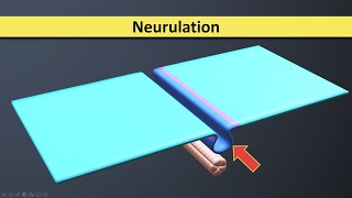 How its Done Extrusion  Multi Lumen Tubing [upl. by Itra838]