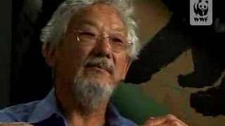 Interview with David Suzuki [upl. by Koziara443]