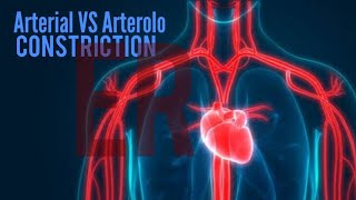 vasoconstriction and vasodilation [upl. by Bergquist]