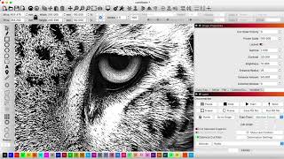 Basic Photo Engraving Directly In Lightburn Software [upl. by Alah]