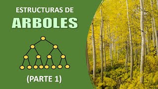 Arboles definiciones y propiedades [upl. by Odnumyer]