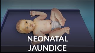 Neonatal Jaundice by L Veit  OPENPediatrics [upl. by Teage]