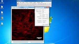 ImageJ Tutorial How to add scale bar [upl. by Dlorej]