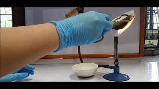 TUPM Dept of Chemistry Virtual Lab  Bunsen Burner [upl. by Maryly]