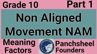 NAM  Non Aligned Movement  ICSE Class 10  sirtarunrupani [upl. by Glassco]