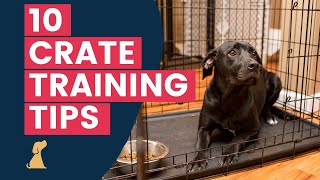 Crate Training Tips  10 Hacks To Help Your New Puppy Love The Crate [upl. by Newfeld]