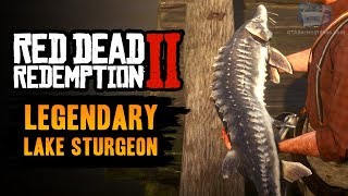 Red Dead Redemption 2 Legendary Fish  Legendary Lake Sturgeon [upl. by Towny588]