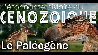 Le paléogène  Cénozoïque 1  Paléontologie  Simplex Paléo [upl. by Adnuahs]