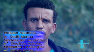 Kadir Martu Rakkachuuf hin uumamnee New Oromo Muisic 2016 OromoProtests [upl. by Vaden672]