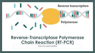 Amplification Techniques RTPCR [upl. by Desirae]