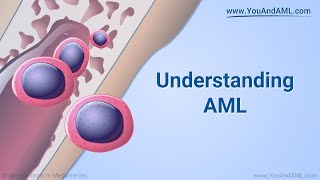 Understanding AML [upl. by Shelman]