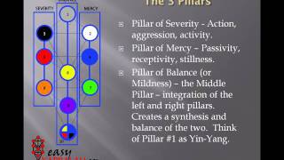 Tree of Life Basics [upl. by Olodort212]