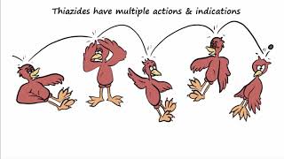 Thiazide Diuretics  Their Multiple Mechanisms amp Indications [upl. by Jegar713]