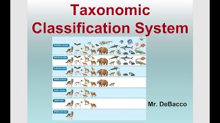 Taxonomic Classification [upl. by Kathe120]