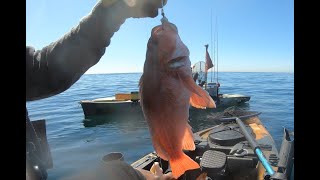 Puddingstone Lake amp Newport Beach Rock Fishing [upl. by Aurea644]