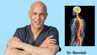 How to Heal Nerve Pain Pinched Nerve Neuropathy  Dr Alan Mandell DC [upl. by Walden]