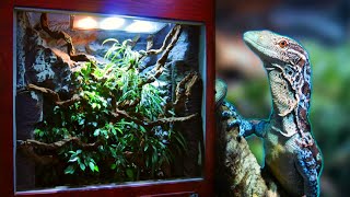 How I made a Huge Reptile Vivarium – Full Build [upl. by Jat]