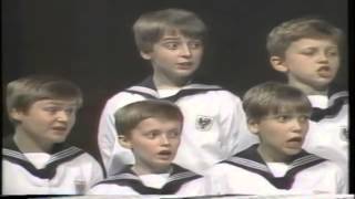 Wiener Sängerknaben Vienna Boys Choir  Concert in Tokyo 1983 [upl. by Nomaj]