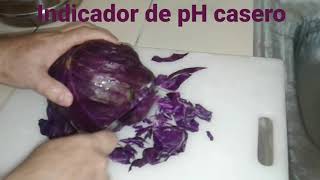 Indicador de pH caseroRepollo morado [upl. by Osugi824]