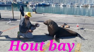 Hout Bay  seal island capetown tourism 2020 [upl. by Canica976]